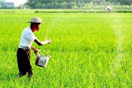 微生物菌肥复合肥的区别与特点