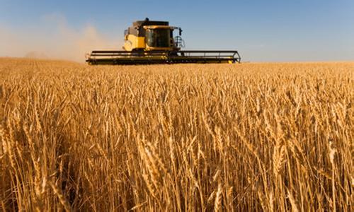 肥料登记分四种类型 具体有哪几种类型